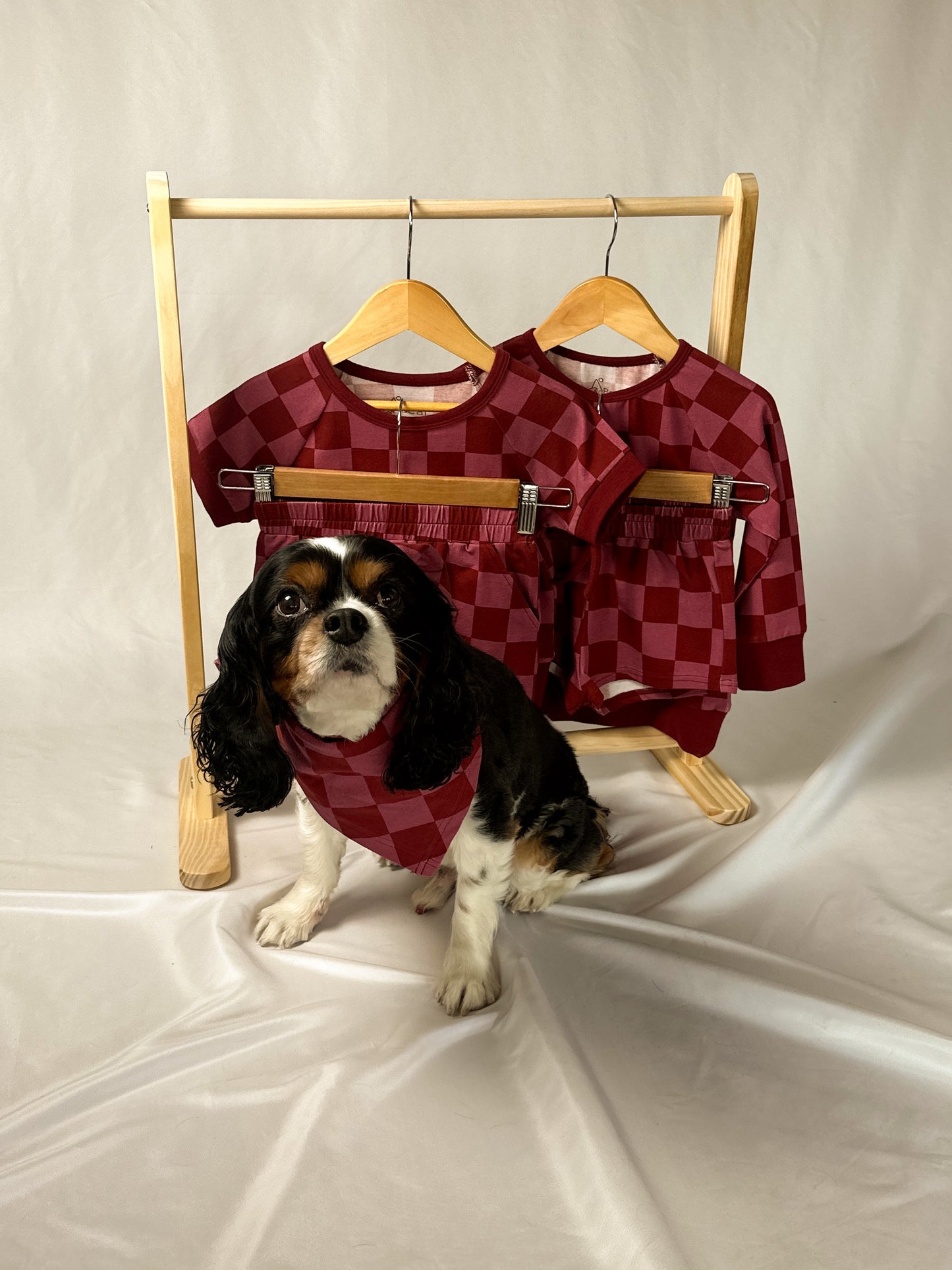 Check Yo Self Dog Bandana