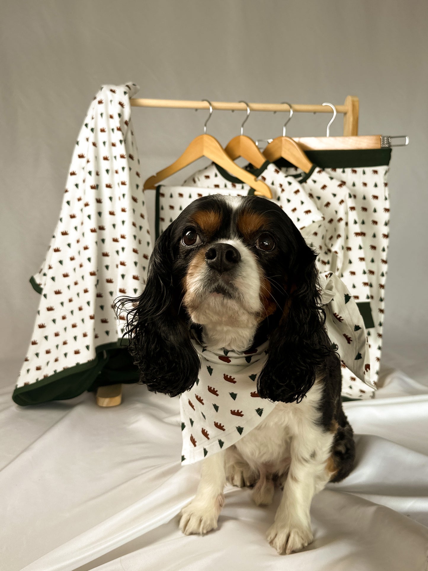 It's Goin' Down Fur Real Dog Bandana